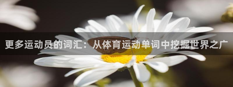 必发官网下载招商电话是多少啊：更多运动员的词汇：从体