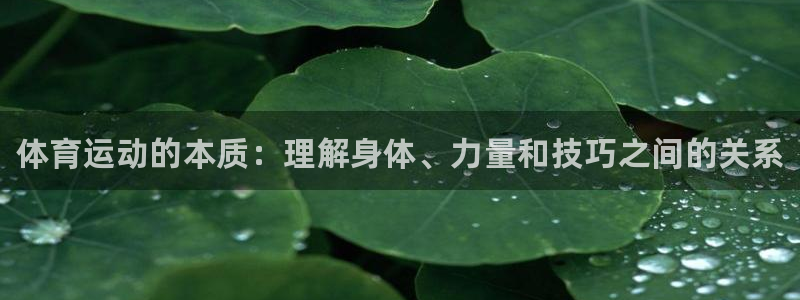必发官网下载联系电话：体育运动的本质：理解身体、力量