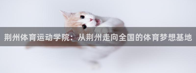 必发官网下载：荆州体育运动学院：从荆州走向全国的体育