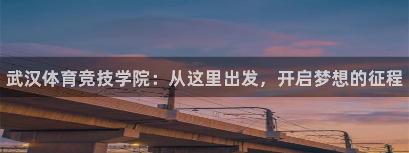 必发官方正版app娱乐是那个系列的台子：武汉体育竞技