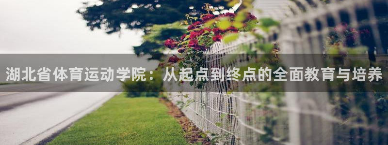 必发官方正版app集团官网首页：湖北省体育运动学院：