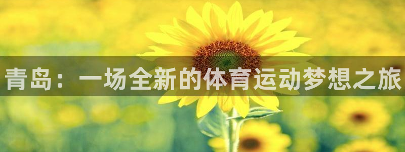 必发官网下载开户：青岛：一场全新的体育运动梦想之旅