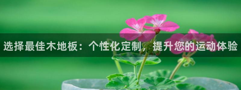 必发官网下载招商电话是多少号码：选择最佳木地板：个性化定制，