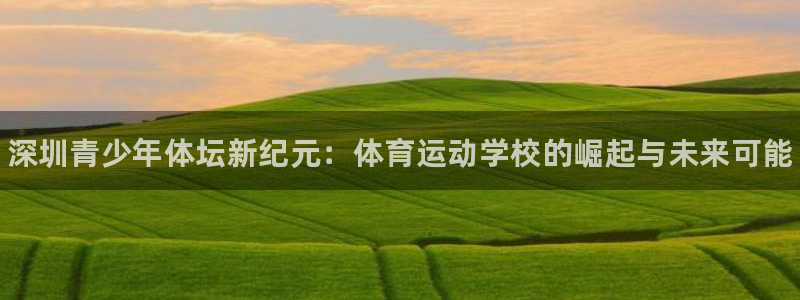 必发官方正版app娱乐平台：深圳青少年体坛新纪元：体