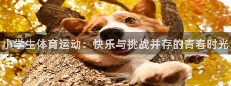 必发官方正版app娱乐首页官网下载：小学生体育运动：