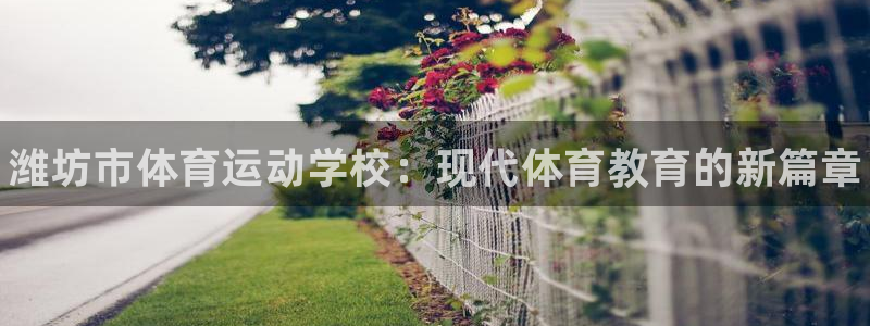 必发官网下载开户