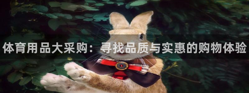 必发官方集团官网：体育用品大采购：寻找品质与实惠的购物体验