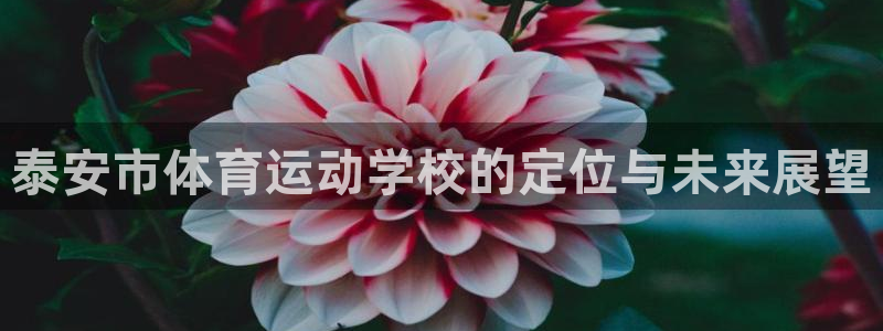 必发官网下载联系电话