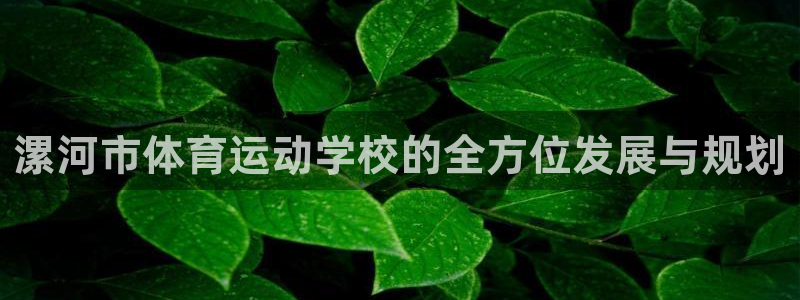 必发官网下载平台注册流程图：漯河市体育运动学校的全方