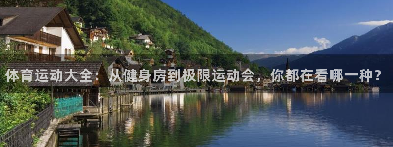 必发官网下载平台APP：体育运动大全：从健身房到极限运动会，