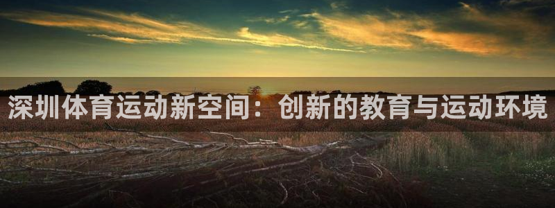 必发官网下载娱乐：深圳体育运动新空间：创新的教育与运