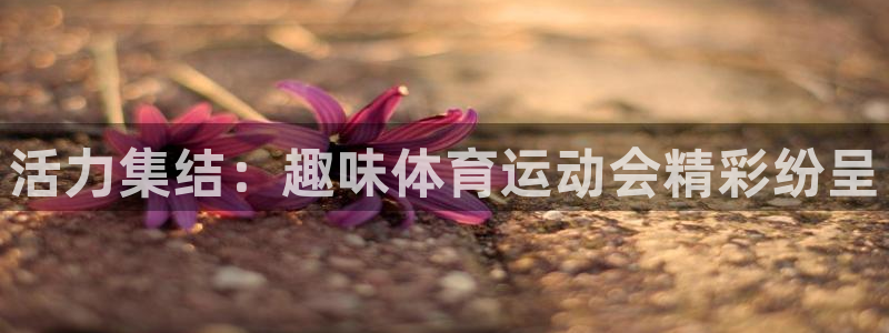 必发官网下载平台注册要钱吗安全吗：活力集结：趣味体育运动会精