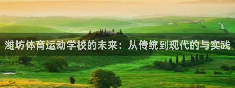 必发官方正版app集团E.ON：潍坊体育运动学校的未