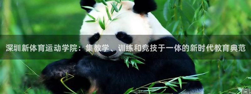 必发官网下载平台是正规平台吗安全吗：深圳新体育运动学院：集教