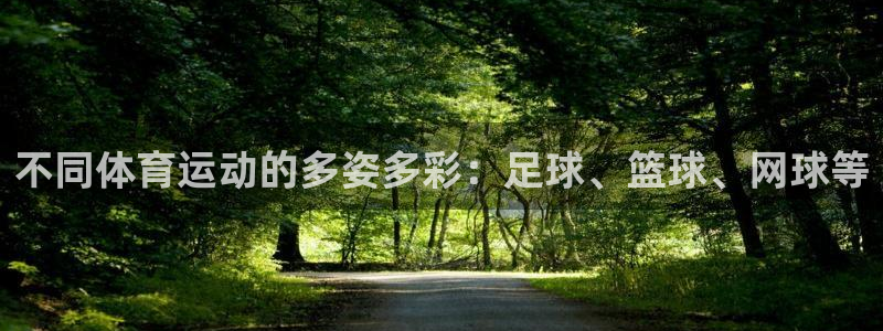 必发官方正版app五金厂：不同体育运动的多姿多彩：足球、篮球