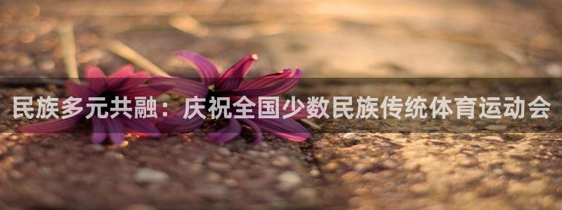 必发官网下载招商电话地址查询：民族多元共融：庆祝全国